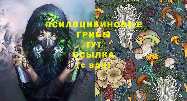 стафф Вязьма