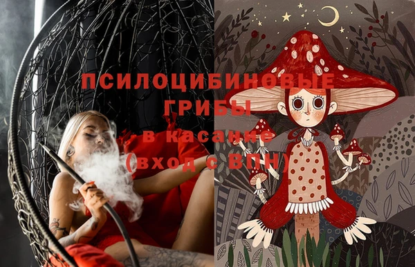 стафф Вязьма