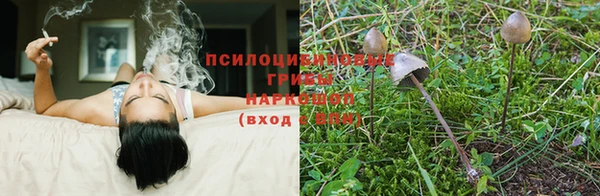 mdma Вязники