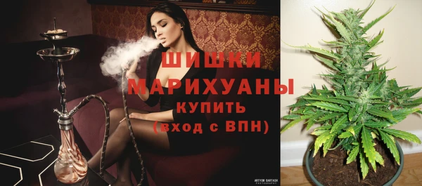 стафф Вязьма